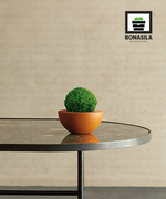 Load image into Gallery viewer, Celosi