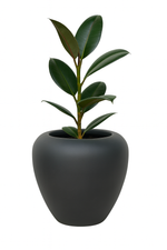 Load image into Gallery viewer, Appy