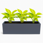 Load image into Gallery viewer, Joy pot