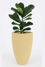 Load image into Gallery viewer, Conize