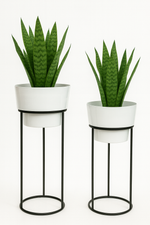 Load image into Gallery viewer, Minimalist White Planter & stand