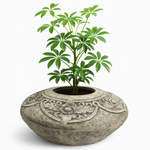 Load image into Gallery viewer, Bali Unami