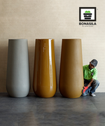 Load image into Gallery viewer, Feijo MS