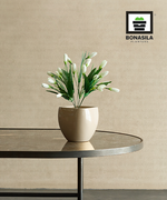 Load image into Gallery viewer, Lucio