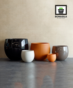 Load image into Gallery viewer, Nonez