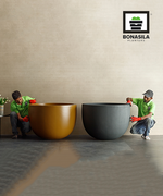 Load image into Gallery viewer, Pothos MS