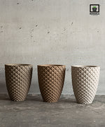 Load image into Gallery viewer, Gracili