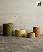 Load image into Gallery viewer, Conza D