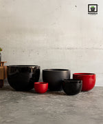 Load image into Gallery viewer, Pothos