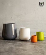 Load image into Gallery viewer, Nimo