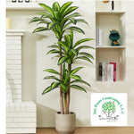 Load image into Gallery viewer, Artificial Dracena
