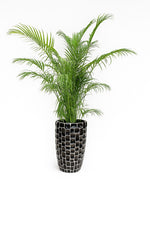 Load image into Gallery viewer, Brick