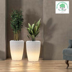 Load image into Gallery viewer, Chiara LED