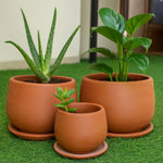 Load image into Gallery viewer, T-UNAMI