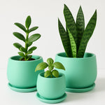 Load image into Gallery viewer, T-MIX CLR UNAMI