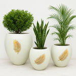 Load image into Gallery viewer, Ferrobloom Round