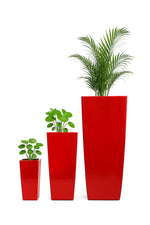 Load image into Gallery viewer, Faps,Fido & Florian