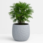 Load image into Gallery viewer, Leafo