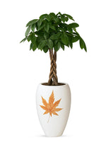 Load image into Gallery viewer, Ferrobloom Bottle