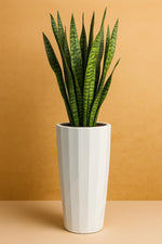 Load image into Gallery viewer, Mirror