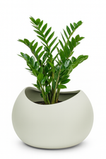 Load image into Gallery viewer, Pebble Planter
