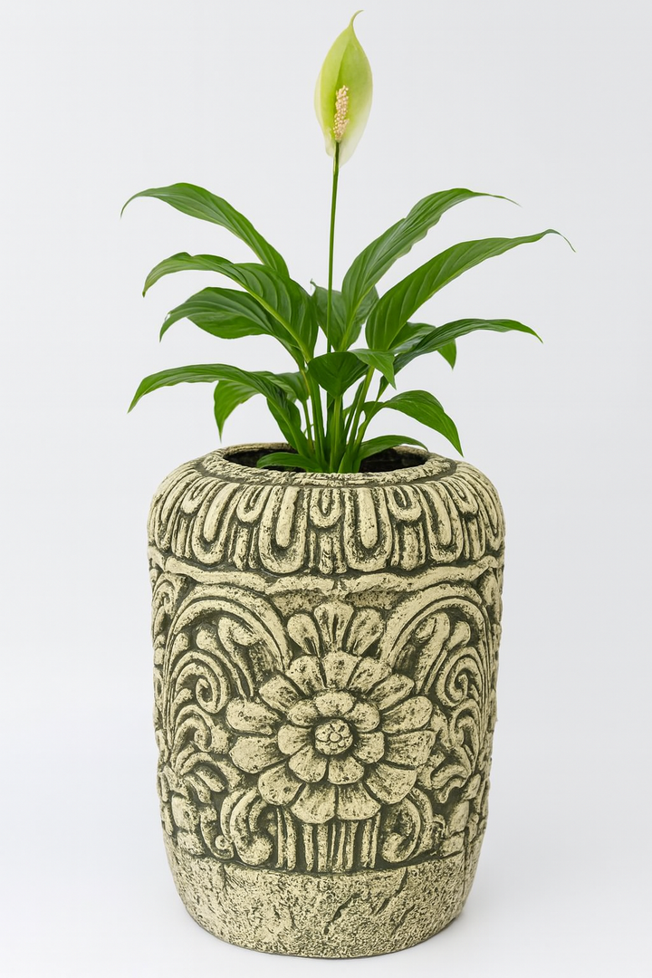 Bali Flowhoe
