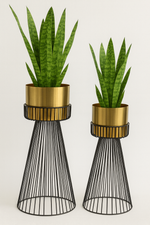 Load image into Gallery viewer, Elegant Wireframe Metal Plant Stand with Gold Planter
