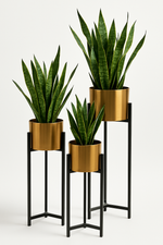 Load image into Gallery viewer, Set of Modern Metal Plant Stands with Gold Planters
