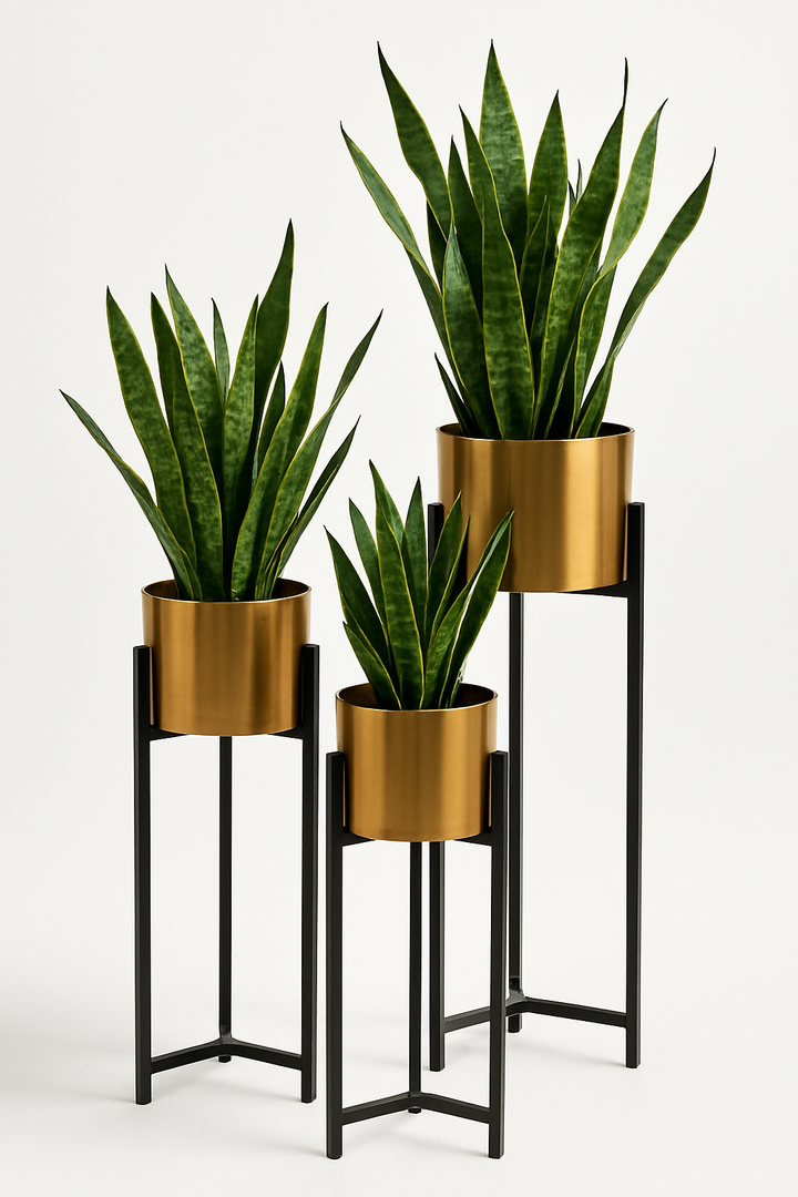 Set of Modern Metal Plant Stands with Gold Planters