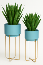 Load image into Gallery viewer, Blue Planter and gold stand
