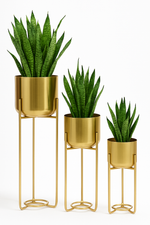 Load image into Gallery viewer, Golden Planter with golden stand
