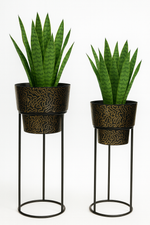 Load image into Gallery viewer, Black &amp; Gold Designer Planter stand
