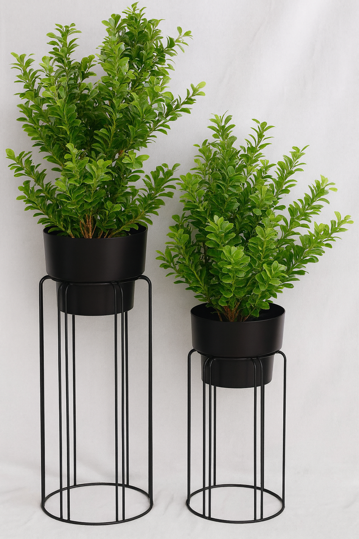 Matte Black Planter & Sand