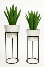 Load image into Gallery viewer, White Patterned Planter &amp; stand
