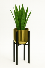 Load image into Gallery viewer, Gold Metal Planter with Black Stand
