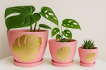 Load image into Gallery viewer, T-MIX CLR CUP POT
