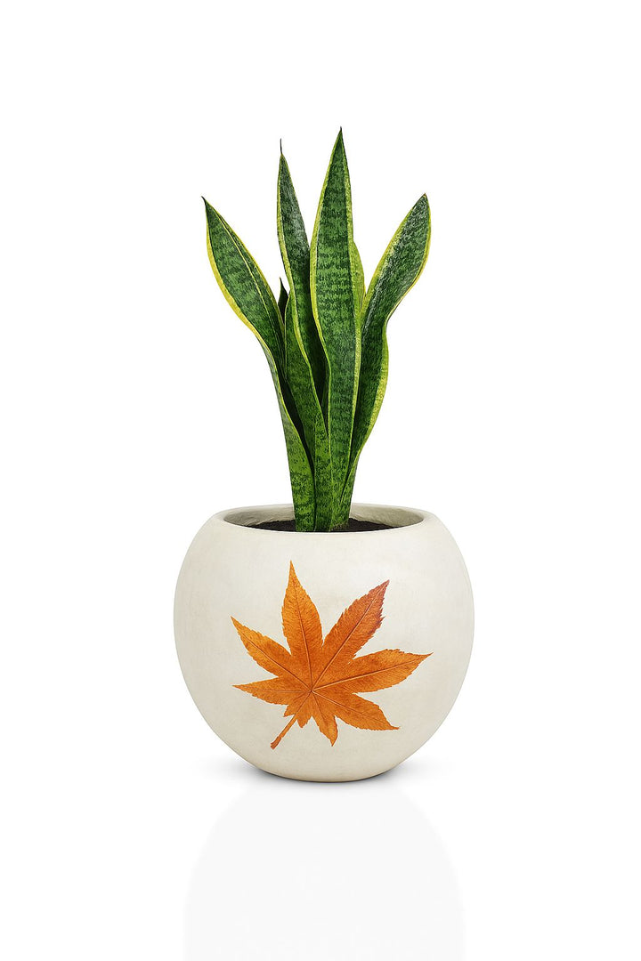 Ferrobloom pumpkin