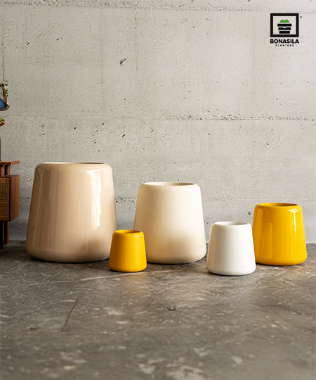 Cono
