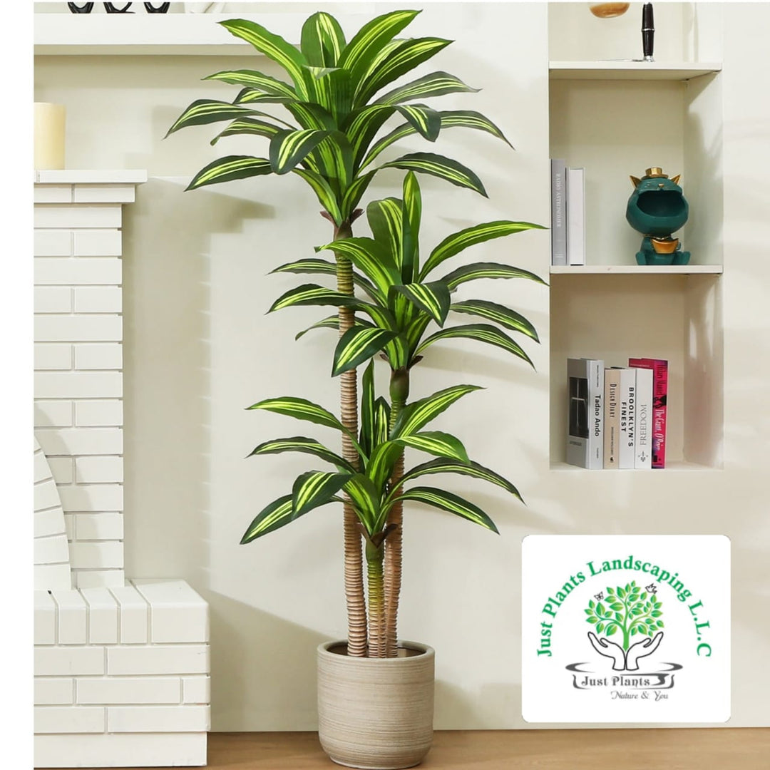 Artificial Dracena