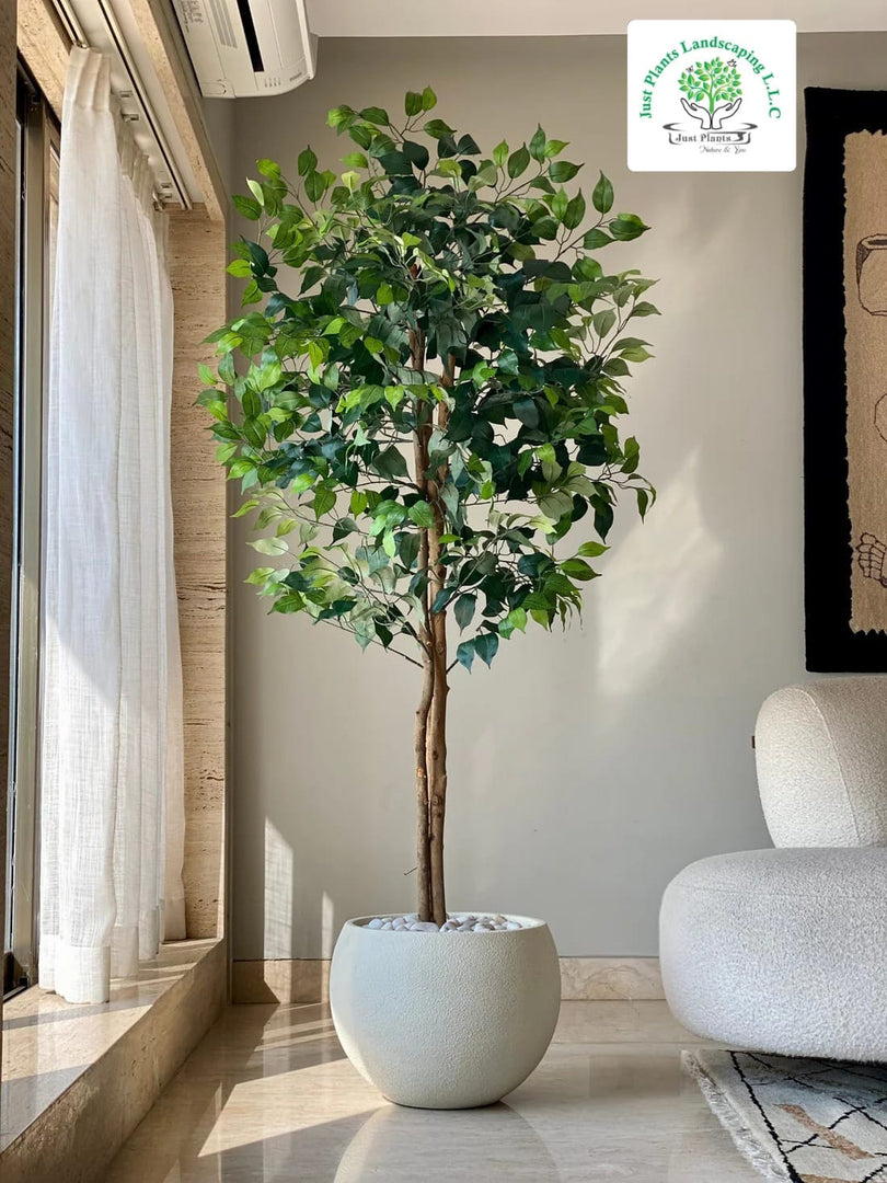 Artificial Ficus Tree