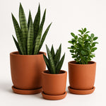 Load image into Gallery viewer, T-CYLINDER POT
