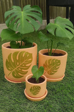 Load image into Gallery viewer, T-MIX CLR CYLINDER POT
