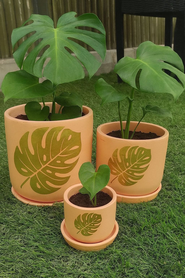T-MIX CLR CYLINDER POT