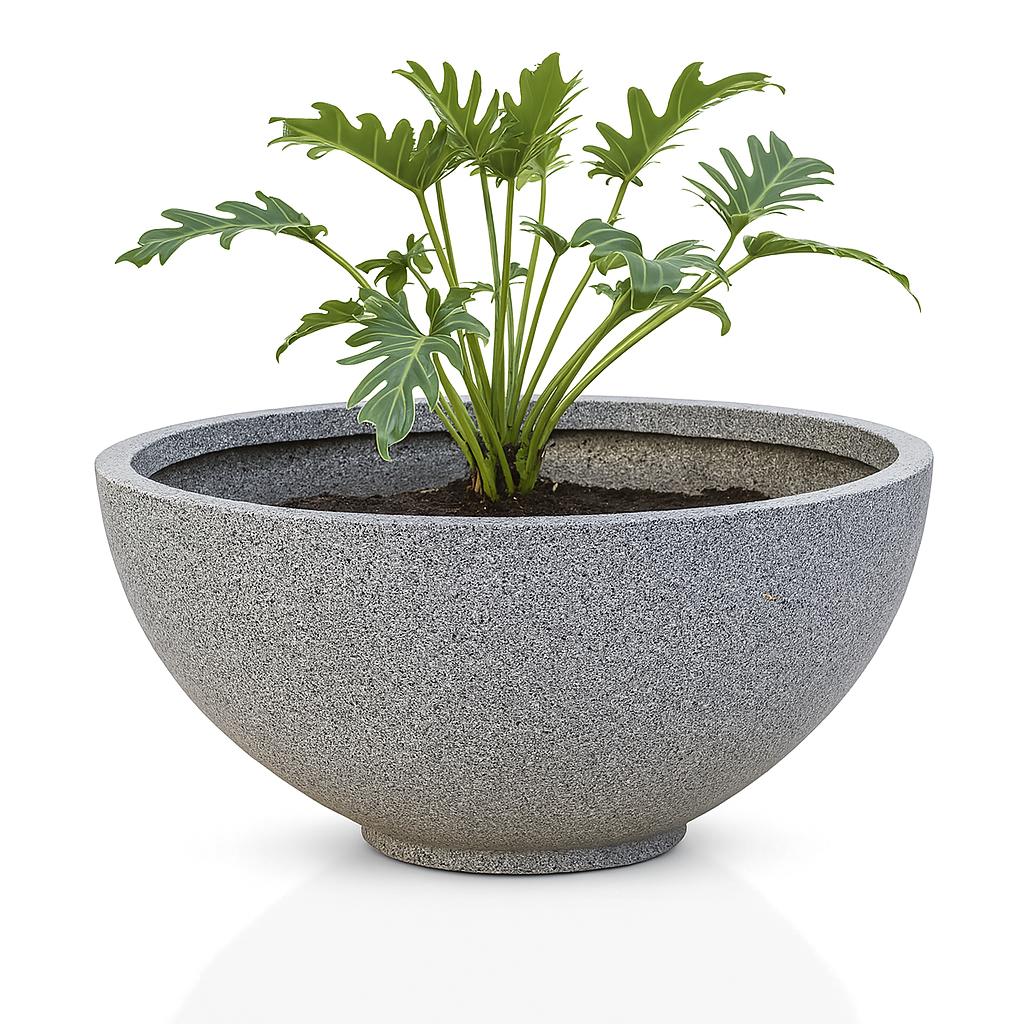 Bowl Planter