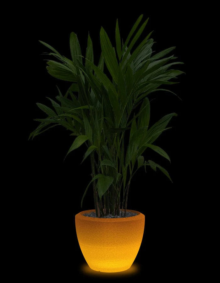 Piatto LED
